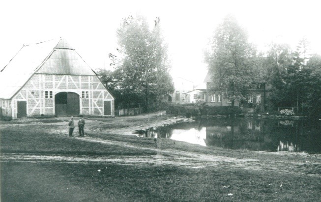 Bild Schweinemarkt